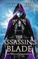 Cover image for The Assassin’s Blade