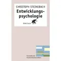Cover image for Entwicklungspsychologie.