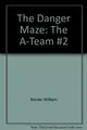Cover image for The danger maze