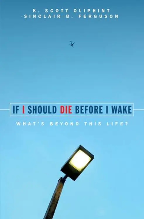 If I Should Die Before I Wake: A Look Beyond This Life cover