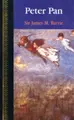 Cover image for Peter Pan (Children's Classics)