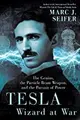 Cover image for Tesla : Wizard at War