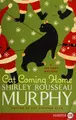 Cover image for Cat coming home