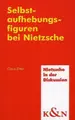 Cover image for Selbstaufhebungsfiguren bei Nietzsche