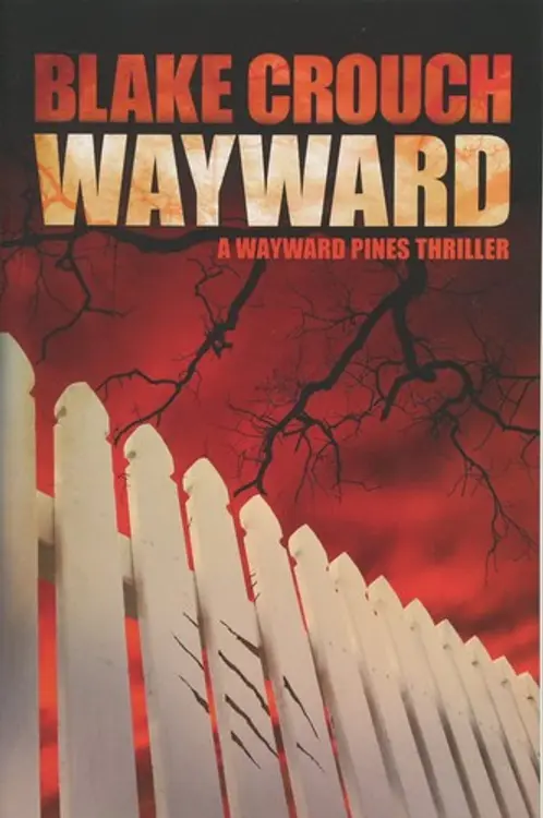 洋書 Wayward Deluxe Book 1 (Wayward, 1) b1 Wayward Deluxe Book 1 (Wayward, 1): Jim Zubkavich, Steven