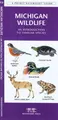Cover image for Michigan Wildlife