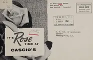 Cover image for It's rose time at Cascio's