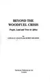 Cover image for Beyond the woodfuel crisis