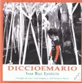 Cover image for Diccioemario