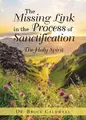 Cover image for Missing Link in the Process of Sanctification