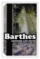 Cover image for Criticism and Truth (Continuum Impacts)