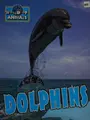 Cover image for Dolphins.