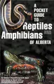 Cover image for A Pocket Guide to Reptiles and Amphibians of Alberta