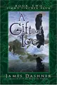 Cover image for A gift of ice