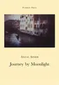 Cover image for Journey by Moonlight (Pushkin Paper)