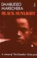 Cover image for Black Sunlight