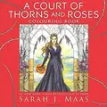 Cover image for A Court of Thorns and Roses Colouring Book