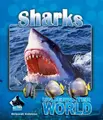 Cover image for Sharks