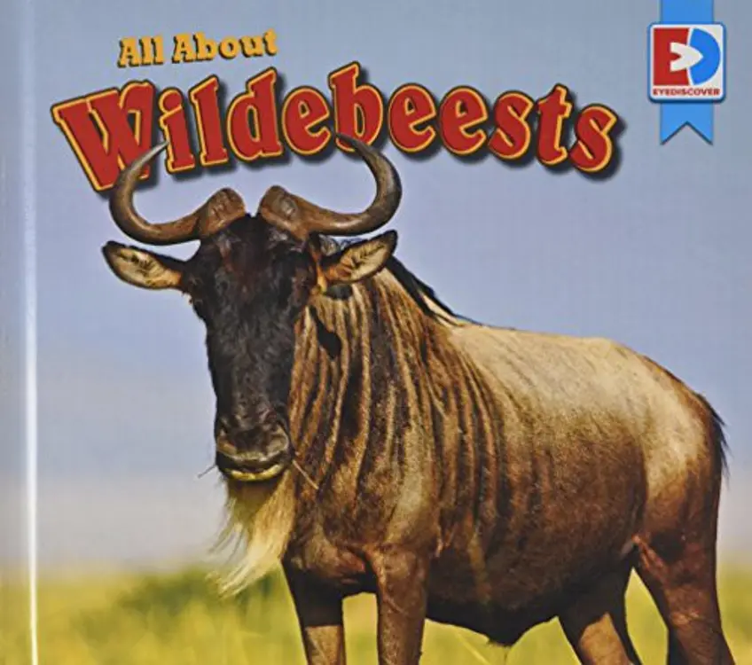 All about Wildebeests cover