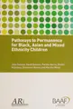 Cover image for Pathways to Permanence for Black, Asian and Mixed Ethnicity Children
