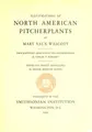 Cover image for Illustrations of North American pitcherplants
