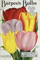 Cover image for Burpee's bulbs for fall planting