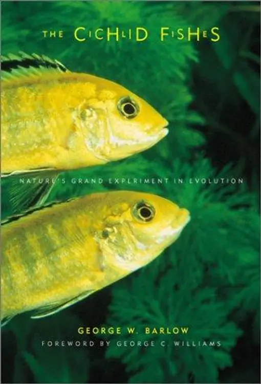 The cichlid fishes: nature's grand experiment in evolution cover