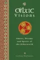 Cover image for Celtic Visions