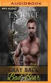 Cover image for Gray Back Bad Bear