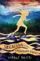 Cover image for Serafina and the splintered heart