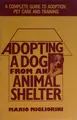 Cover image for Adopting a dog from an animal shelter