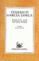 Cover image for Poeta En Nueva York (Nueva Austral Series : Vol 146)