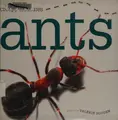Cover image for Ants
