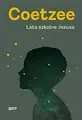 Cover image for Lata szkolne Jezusa