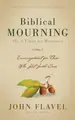 Cover image for Biblical Mourning or, a Token for Mourners