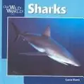 Cover image for Sharks