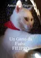 Cover image for Gatto Da Fiaba