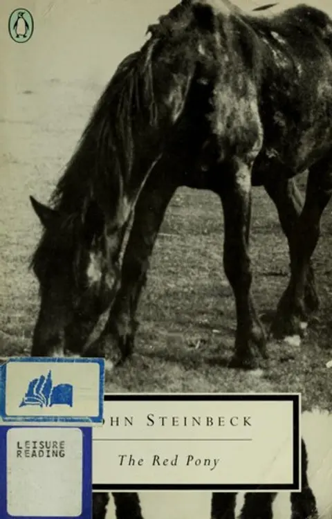 The red pony cover