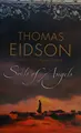 Cover image for Souls of angels