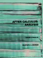 Cover image for After calculus--analysis