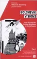 Cover image for Bolshevik Visions