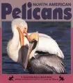 Cover image for North American Pelicans (Nature Watch)