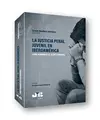 Cover image for La justicia penal juvenil en Iberoamérica