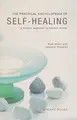 Cover image for Practical Encyclopedia of Self-Healing