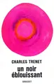 Cover image for Un noir éblouissant