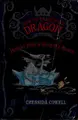 Cover image for How to ride a dragon's storm