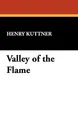 Cover image for Valley of the Flame
