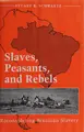 Cover image for Slaves, peasants, and rebels