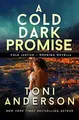 Cover image for A Cold Dark Promise
