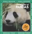 Cover image for The Wonder of owls(Animal Wonders)